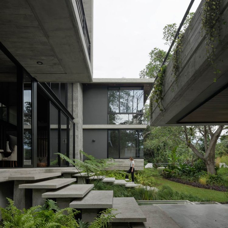 Portf-EntreParotas-02