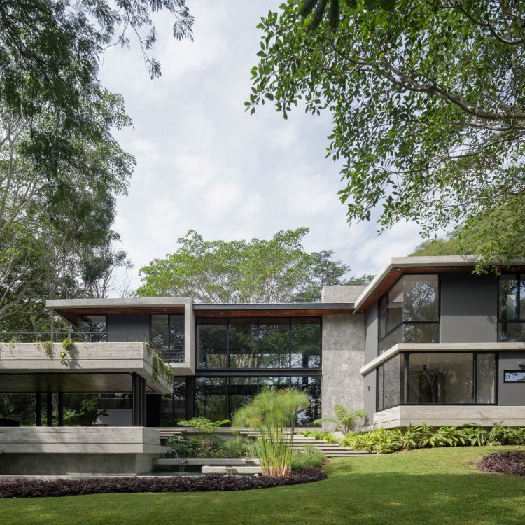 Portf-EntreParotas-07