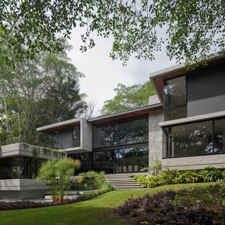 Portf-EntreParotas-08