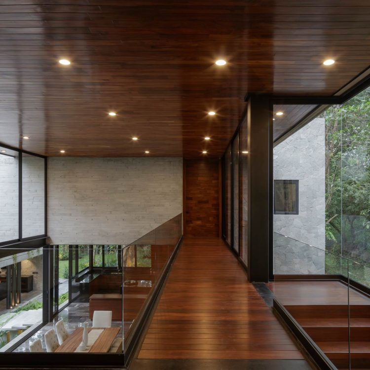 Portf-EntreParotas-20